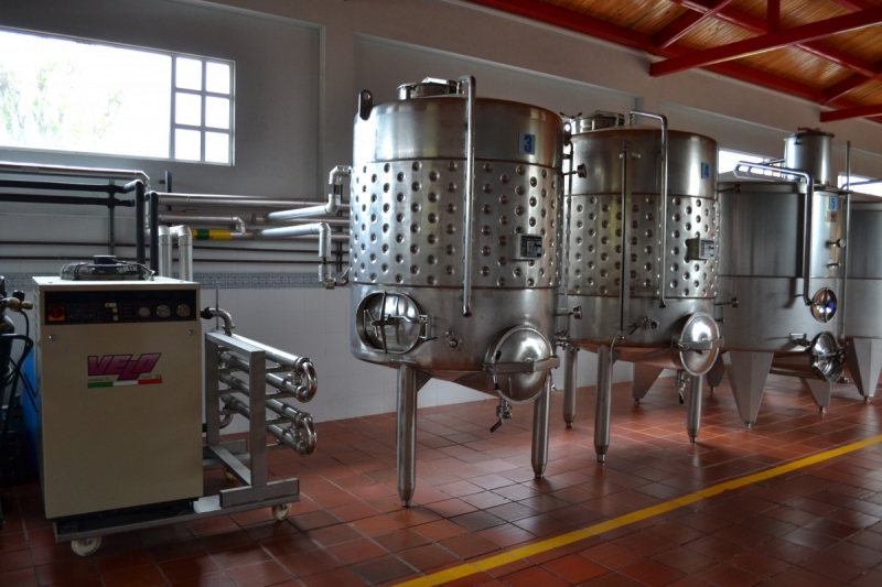 cave-OPIO-min_wine_production_cantine_winery_drink_alcohol_vine_beverage-902036